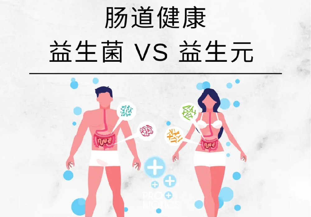 src=http%3A%2F%2Fci.xiaohongshu.com%2F8fc02fad-6a3d-3884-887a-f4ba5084cd4e%3FimageView2%2F2%2Fw%2F1080%2Fformat%2Fjpg&refer=http%3A%2F%2Fci.xiaohongshu.webp.jpg